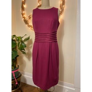 NWT - Banana Republic Raspberry Dress